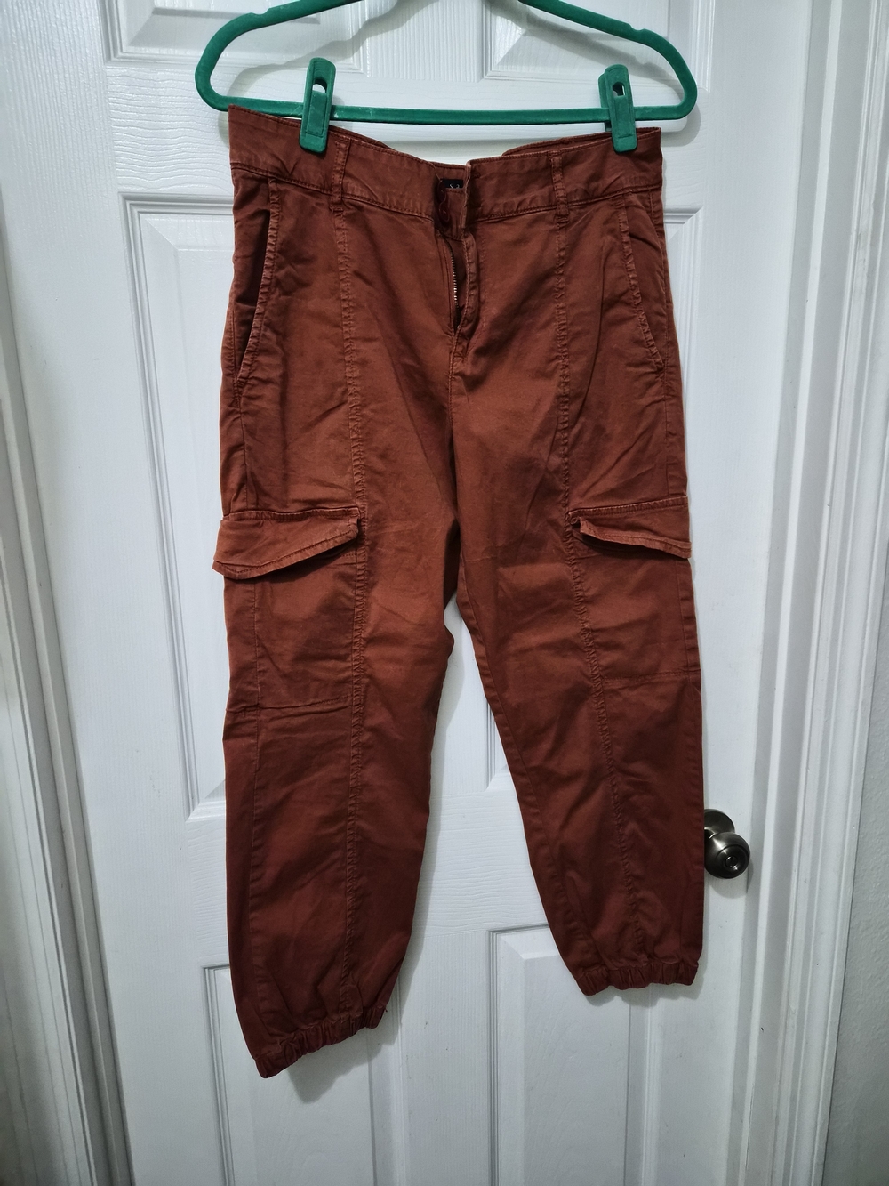 Sanctuary Cropped Cargo Joggers in Rust